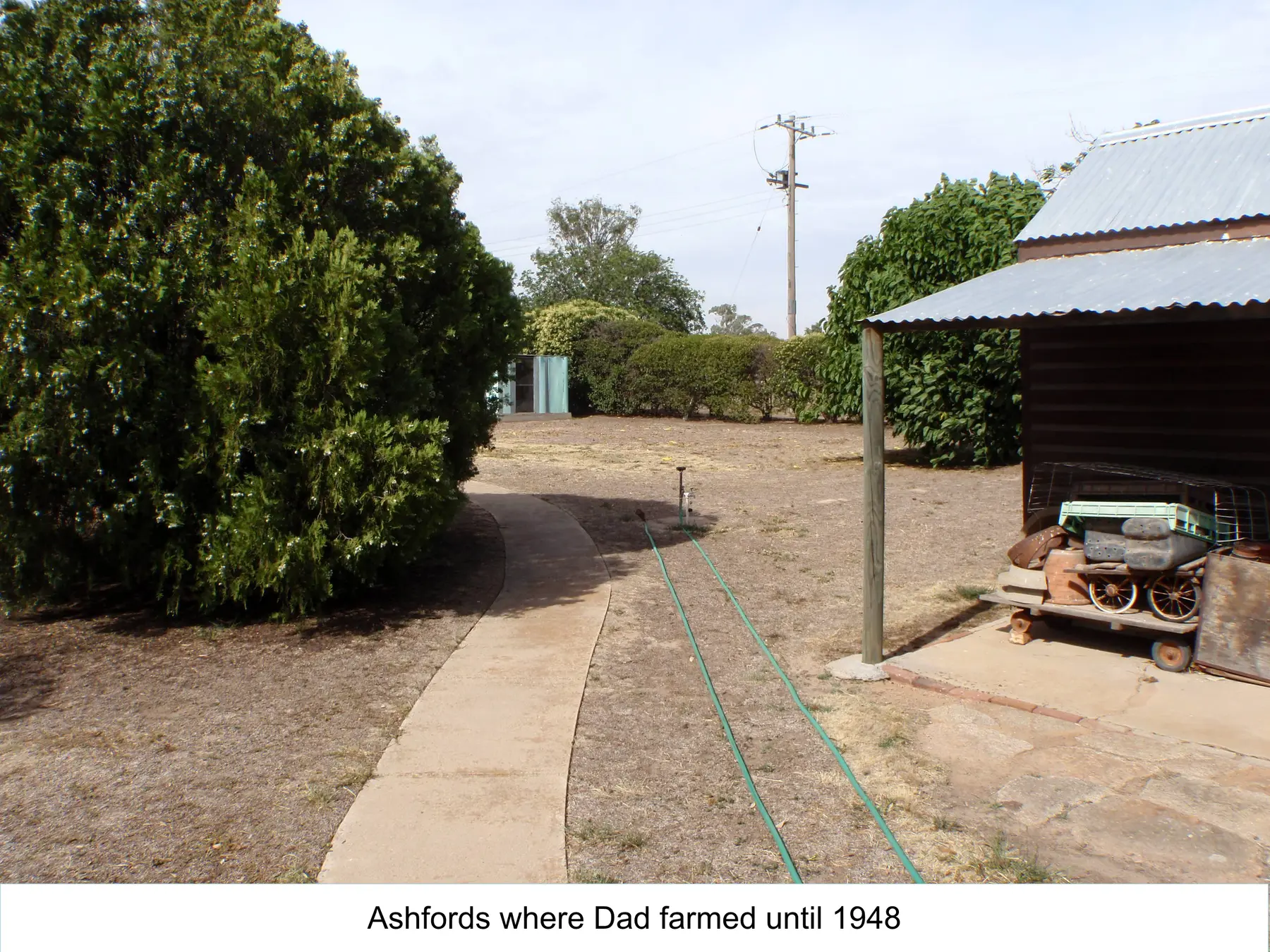 Ashfords near Lake Albert