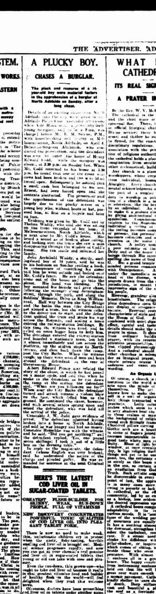 Scanned 1926 report of John Archibald Waddy pursuing a North Adelaide housebreaker