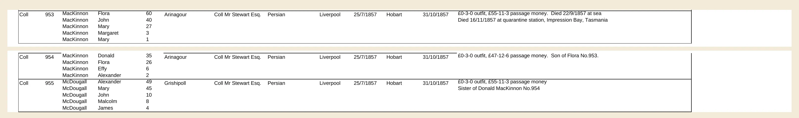 Highland and Island Emigration Society spreadsheet entries 953 to 955 naming Flora McKinnon, Donald McKinnon and Mary McDougall with their families aboard the Persian