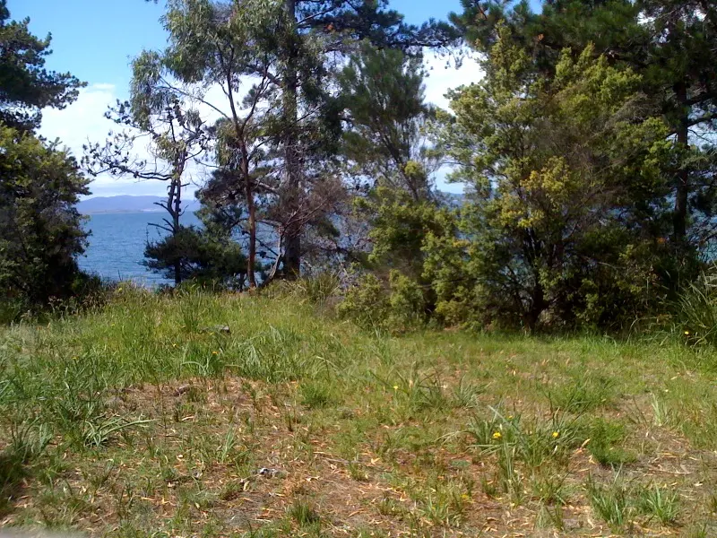 The wooded shoreline at Premaydena in Tasmania